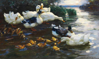 Alexander Koester - Enten mit Kken im Wasser.webp