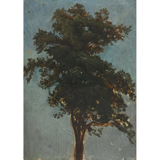 Alexandre Calame - Tree Study.webp