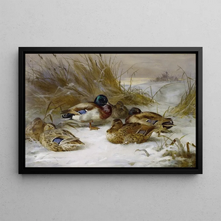 Archibald Thorburn - Winter Landscape With Mallard.webp