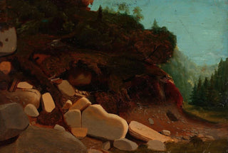 August Cappelen - Nature Study with Rocks.webp
