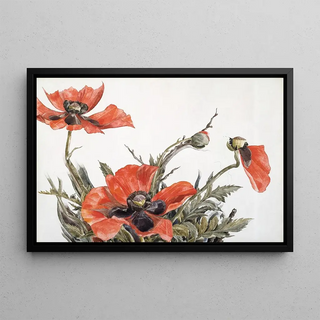 Charles Demuth - Red Poppies.webp