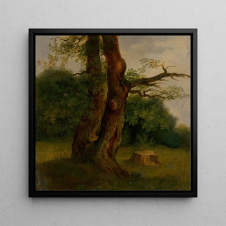 Étude d'un arbre feuillu - Jozef Boetech Klemens