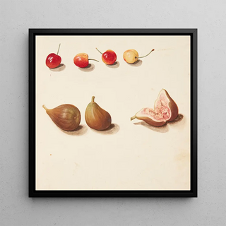 Étude de cerises et de figues - Johanna Fosie