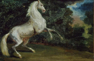 Follower of Thodore Gricault - Prancing Horse.webp