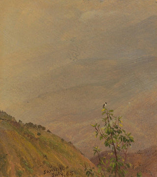 Frederic Edwin Church - Landscape VI.webp