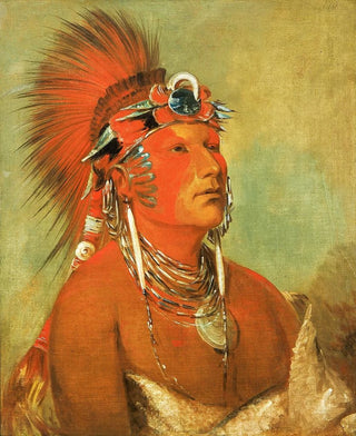 George Catlin - JeeHOHShah Cannot Be Thrown Down a Warrior.webp