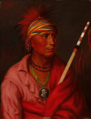 George Catlin - No Heart NanCheNingGa.webp