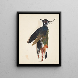 Johanna Fosie - Studie af dd vibe.webp