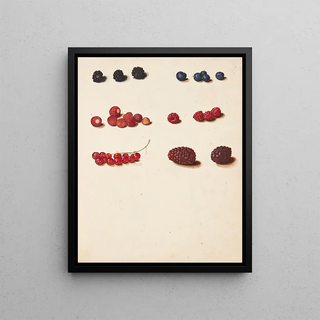 Johanna Fosie - Studie af diverse br.webp