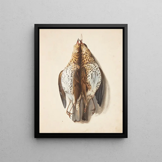 Johanna Fosie - Studie af to dde sangdrosler.webp