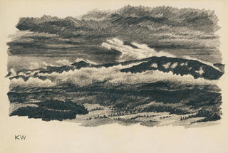 Karl Wiener - Naturstudie XLVIII.webp