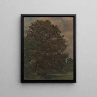 Lionel Constable - Study of an Ash Tree.webp