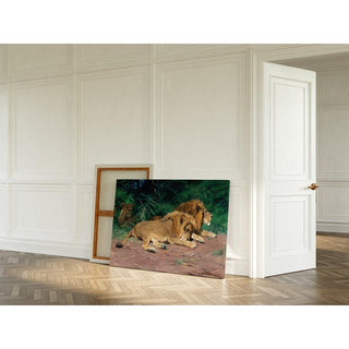 Lions au repos - Wilhelm Kuhnert | Reproduction Tableau Décoration murale affiche copie