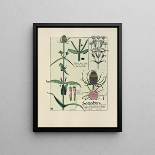 Maurice Pillard Verneuil - Cardere.webp