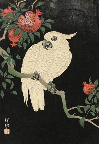 Ohara Koson - Cockatoo And Pomegranate.webp