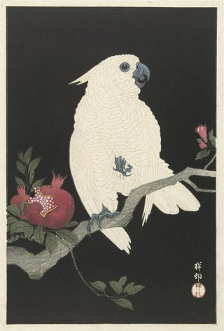 Ohara Koson - Cockatoo and pomegranate (Case Conflict).webp