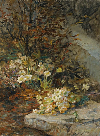 Olga WisingerFlorian - Schneerosen.webp