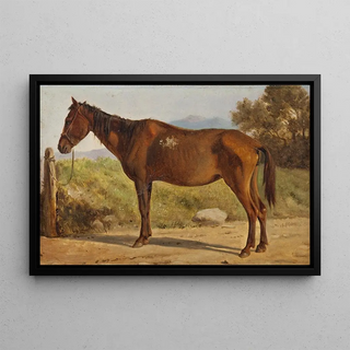 Wilhelm Marstrand - Rosinante Study of an old standing horse.webp