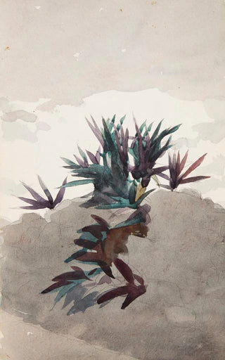 Winslow Homer - Hillside with Clumps of Maguey.webp