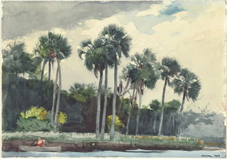 Winslow Homer - Red ShirtHomosassa Florida.webp