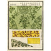 Reproductie van het schilderij Estampes chinoises pl26 - A F Stoddard Company