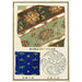 Estampes chinoises pl83 - A F Stoddard Company — weergave van het kunstwerk