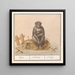 Aap Primates Aep Simius Singe - Anselmus Botius de Boodt — ingelijst kunstwerk aan de muur