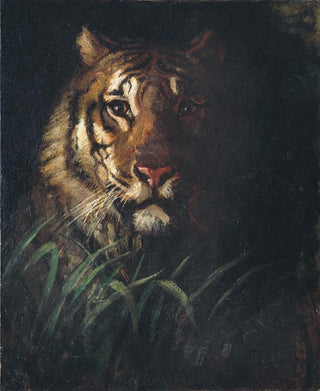 Abbott Handerson Thayer - Tigers Head.webp