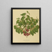 Flore hollandaise et Pomone Pl. 08 - Abraham Jacobus Wendel — framed artwork on a wall