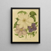 Flore hollandaise et Pomone Pl. 12 - Abraham Jacobus Wendel — framed artwork on a wall