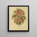 Flore hollandaise et Pomone Pl. 16 - Abraham Jacobus Wendel — framed artwork on a wall