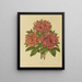 Flore hollandaise et Pomone 17 - Abraham Jacobus Wendel — framed artwork on a wall