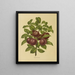 Flore hollandaise et Pomone PL24 - Abraham Jacobus Wendel — framed artwork on a wall