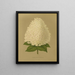 Flore hollandaise et Pomone PL26 - Abraham Jacobus Wendel — framed artwork on a wall