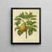 Flore hollandaise et Pomone PL28 - Abraham Jacobus Wendel — framed artwork on a wall