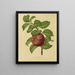 Flore hollandaise et Pomone PL29 - Abraham Jacobus Wendel — framed artwork on a wall
