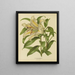 Flore hollandaise et Pomone PL30 - Abraham Jacobus Wendel — framed artwork on a wall