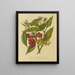 Flore hollandaise et Pomone PL34 - Abraham Jacobus Wendel — framed artwork on a wall