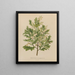 Flore hollandaise et Pomone PL40 - Abraham Jacobus Wendel — framed artwork on a wall