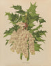 Flore hollandaise et Pomone PL41 - Abraham Jacobus Wendel — artwork view