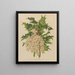 Flore hollandaise et Pomone PL41 - Abraham Jacobus Wendel — framed artwork on a wall