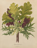 Flore hollandaise et Pomone PL42 - Abraham Jacobus Wendel — artwork view