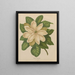 Flore hollandaise et Pomone PL43 - Abraham Jacobus Wendel — framed artwork on a wall