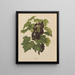 Flore hollandaise et Pomone PL45 - Abraham Jacobus Wendel — framed artwork on a wall