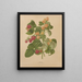 Flore hollandaise et Pomone PL46 - Abraham Jacobus Wendel — framed artwork on a wall