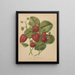 Flore hollandaise et Pomone PL48 - Abraham Jacobus Wendel — framed artwork on a wall