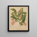 Flore hollandaise et Pomone PL49 - Abraham Jacobus Wendel — framed artwork on a wall