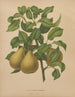 Flore hollandaise et Pomone PL51 - Abraham Jacobus Wendel — artwork view