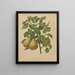Flore hollandaise et Pomone PL51 - Abraham Jacobus Wendel — framed artwork on a wall