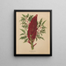 Flore hollandaise et Pomone PL52 - Abraham Jacobus Wendel — framed artwork on a wall